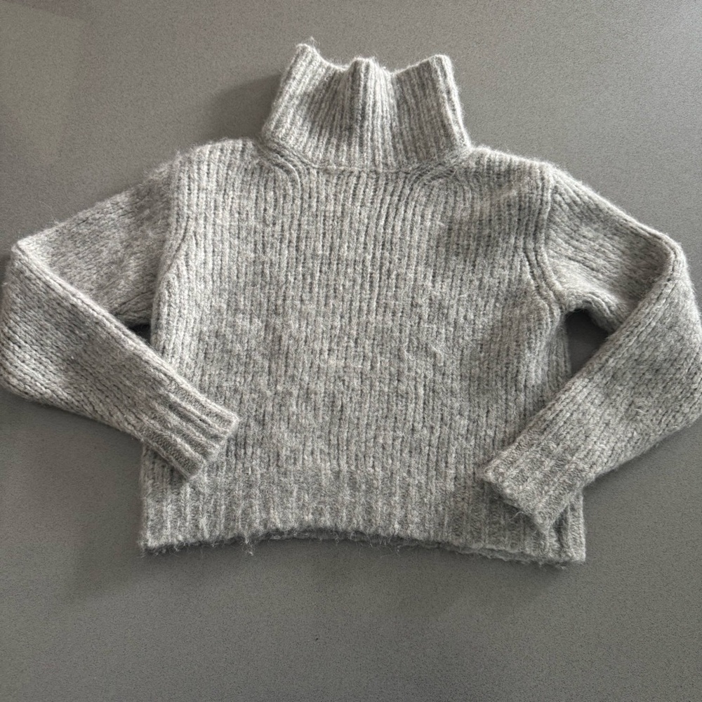 Wilfred Turtleneck Cropped Sweater